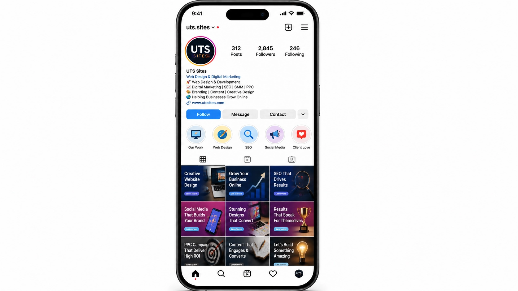 Instagram business profile management for Mohali businesses